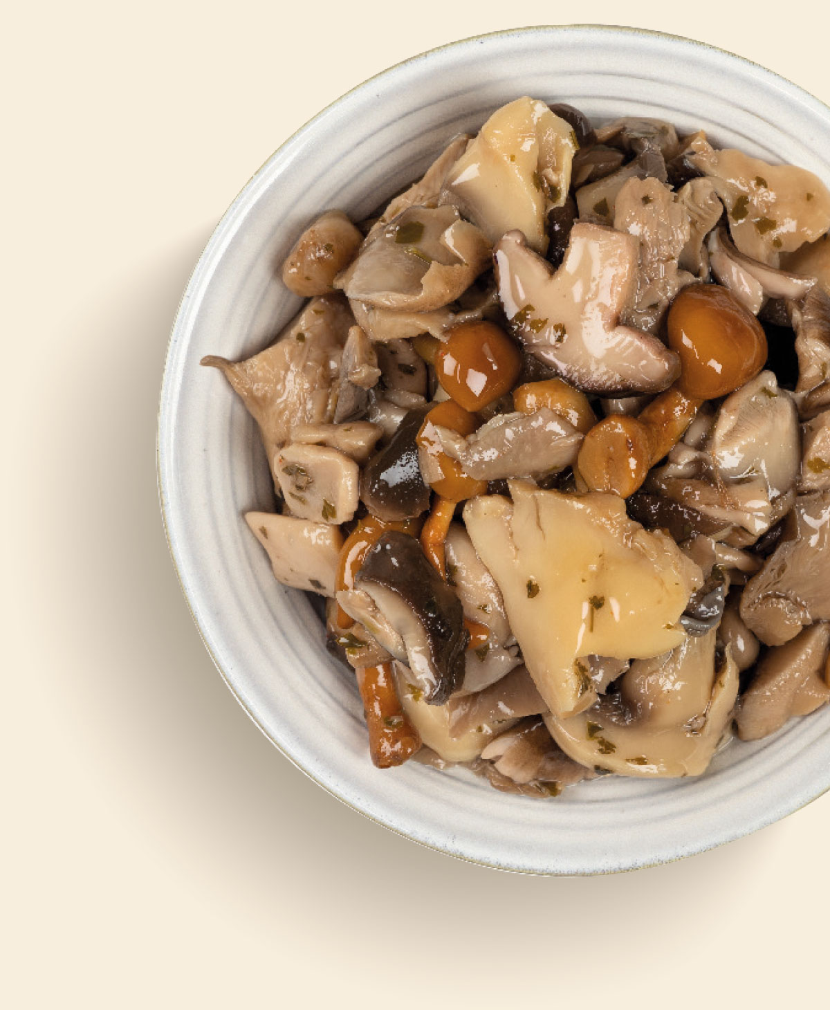 Funghi misti